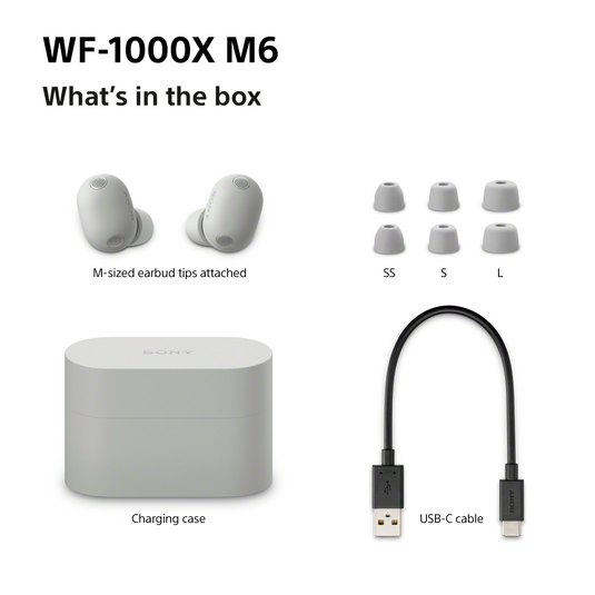 Sony WF-1000XM6 Wireless Noise Cancelling Earbuds, Silver