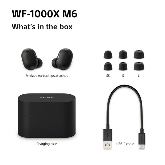 Sony WF-1000XM6 Wireless Noise Cancelling Earbuds, Black