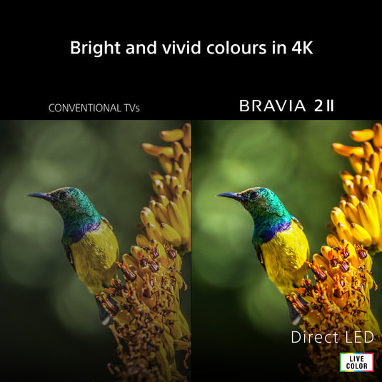 Sony K-65S25M2PB 65" BRAVIA 2 II | S25M2 | 4K LED Smart TV