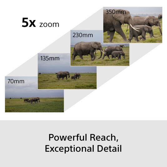 Sony ILCE-6700K E-mount APS-C Camera with 70-350mm F4.5-6.3 G OSS Len Kit