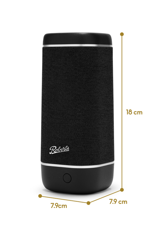 Roberts Reunion IPX7 Bluetooth Speaker, Black